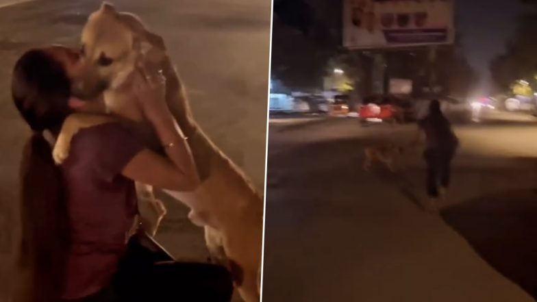 Viral Video: 2 महीने पहले गुम हो चूका पालतू श्वान मिलने पर युवती की आंखों में आएं आंसू, बेजुबान ने भी मालिक को पहचाना, देखें इमोशनल वीडियो