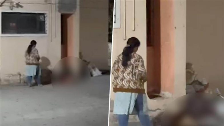 Chhatrapati Sambhajinagar: चेतना नगर में पिटबुल ने बेरहमी से किया गर्भवती आवारा डॉग पर हमला, Video वायरल होने के बाद मालिकों पर मामला दर्ज