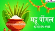 Mattu Pongal 2025 Wishes: मट्टू पोंगल की इन शानदार हिंदी Photo Messages, WhatsApp Status, HD Images, Wallpapers के जरिए दें हार्दिक बधाई