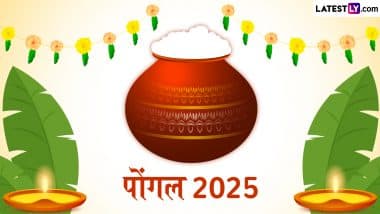 Pongal 2025: गाय-बैल से लेकर सूर्योपासना तक का पर्व है पोंगल! जानें चार दिवसीय इस महापर्व के विविध रंग!