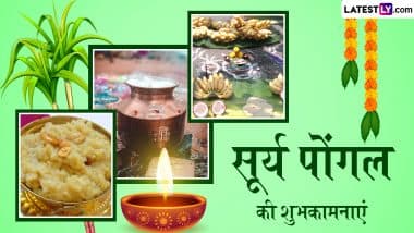 Surya Pongal 2025 Wishes: सूर्य पोंगल के इन मनमोहक हिंदी WhatsApp Stickers, HD Images, Wallpapers और GIF Greetings के जरिए दें शुभकामनाएं