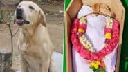 Sniffer Dog Astro Dies: मदुरै जेल के डीएसपी-रैंक के डॉग एस्ट्रो को दी गई 21 तोपों की सलामी; देखें तस्वीरें