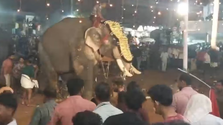 VIDEO: मलप्पुरम में बेकाबू हाथी ने मचाया उत्पात, 17 लोग घायल, भगदड़ का वीडियो आया सामने