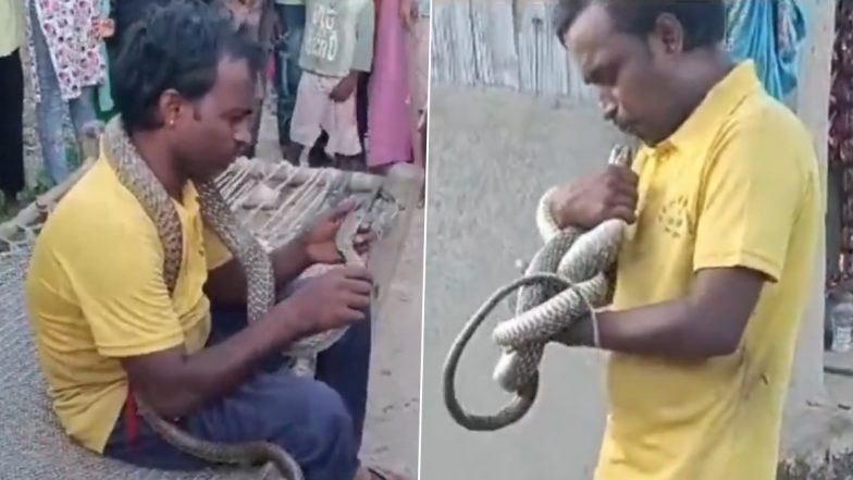 The Snake Bit the Person: मधुबनी में शख्स को हीरो बनना पड़ा महंगा, गले में जहरीला सांप लटकाकर घूम रहा था शख्स, डंसने से हुई मौत, बिहार की मधुबनी की घटना (Watch Video )