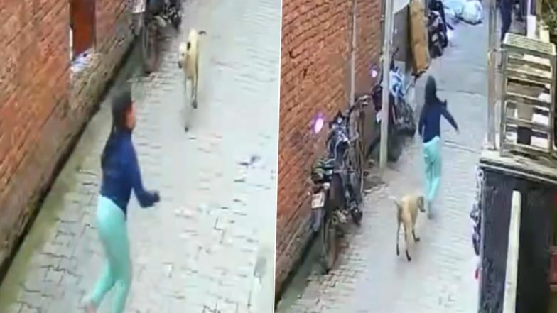 Dog Attack in Mathura: शहर में कुत्तों का आतंक! घर के बाहर खेल रही बच्ची पर आवारा कुत्ते ने किया हमला, मथुरा के जराजेश्वरी कॉलोनी की घटना (Watch Video)