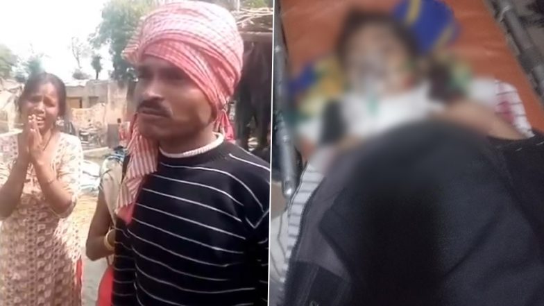 Dog Attack in Barabanki: घर के बाहर खेल रही मासूम पर आवारा कुत्तो का हमला, 6 साल की बच्ची की हुई मौत, बाराबंकी जिले की घटना (Watch Video)