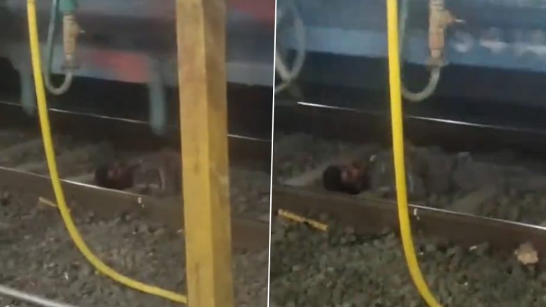 VIDEO: रेलवे ट्रैक पर नशे की हालत में सो गया शख्स, ऊपर से चली गई पूरी मालगाड़ी, देखनेवालों के उड़े होश, भोपाल रेलवे स्टेशन का वीडियो आया सामने