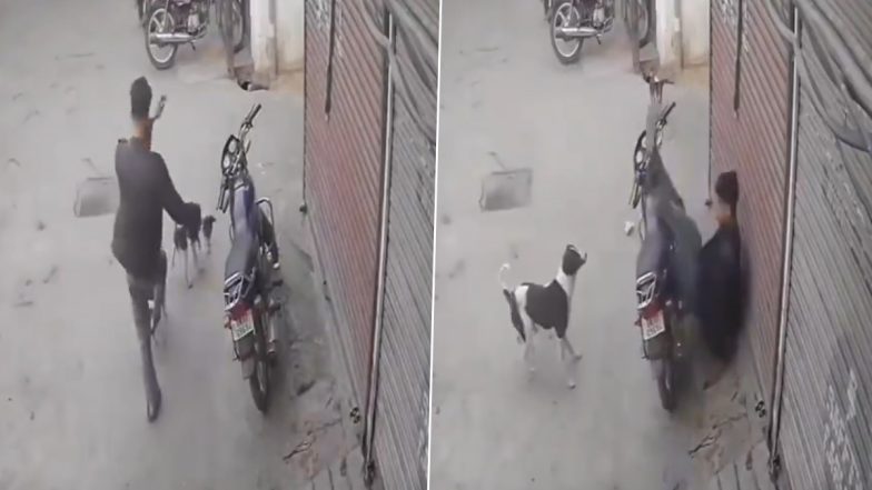 Instant Karma! लड़के ने कुत्ते को लात से मारा, तुरंत मिला उसके कर्म का फल- देखें वायरल वीडियो