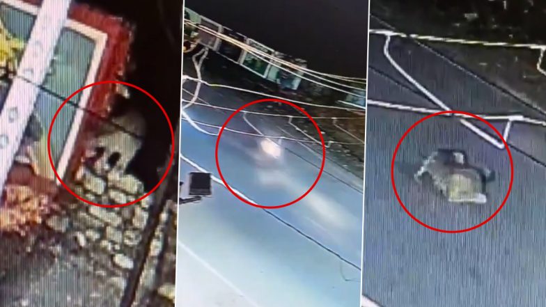 Leopard Spotted in Udaipur: बाइक सवार दूधवाला सड़क पर तेंदुए से टकराने के बाद गिरा, स्थानीय लोग मदद के लिए दौड़े (देखें वीडियो)