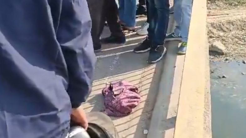 Pratapgarh Shocker: इंसानियत हुई शर्मसार! महिला ने चलती कार से नवजात को फेंका बाहर, पुल के रेलिंग से सिर टकराकर बच्चे की मौत, भयावह वीडियो आया सामने (Watch Video)