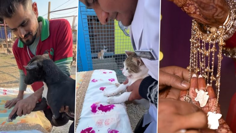 Viral Video: दुल्हन का कुत्तों के प्रति दिखा अनोखा प्यार, रेस्क्यू किए गए पिल्ले को बनाया गया अंगूठी वाहक, देखें दिल छू लेने वाला वीडियो