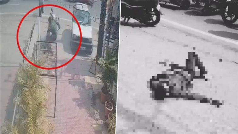 Murder Caught on Camera in Hyderabad: तेलंगाना के कुशाईगुडा में दिनदहाड़े पिता की चाकू घोंपकर हत्या, विचलित करने वाला वीडियो वायरल