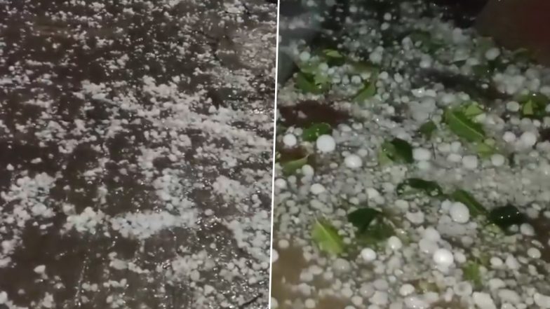 VIDEO: हापुड़ में मौसम ने ली करवट, बारिश के साथ जमकर हुई ओलावृष्टि, किसानों की फसलों को भारी नुकसान