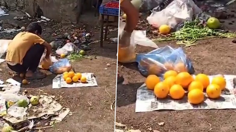 Pune Market Yard: कचरे से उठाएं फल, मौसंबी को धोया, फिर बेचने के लिए सड़क के किनारे लेकर बैठे, पुणे मार्केट यार्ड की घटना (Watch Video )
