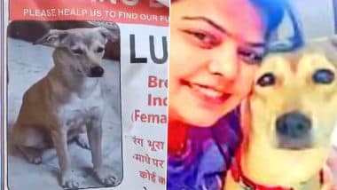 Agra News: आगरा में डॉक्टर की पेट डॉग ‘लूसी’ लापता, ढूंढ़ने वाले को मिलेगा ₹50 हजार का इनाम; पूरे शहर में लगाए गए पोस्टर