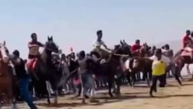 Horse Racing Banned: दहानू के उत्सव में होनेवाली थी घोड़ों की रेस, PETA इंडिया ने की शिकायत, पुलिस ने लगाई रोक (Watch Video )