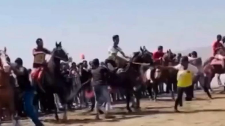 Horse Racing Banned: दहानू के उत्सव में होनेवाली थी घोड़ों की रेस, PETA इंडिया ने की शिकायत, पुलिस ने लगाई रोक (Watch Video )