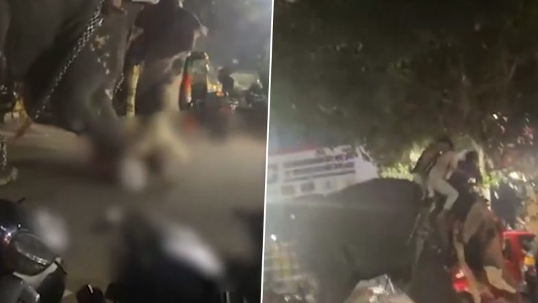 Elephant Attack: उत्सव में भड़का हाथी, महावत की कुचलकर ले ली जान, केरल के पलक्कड़ की भयावह घटना (Watch Video )