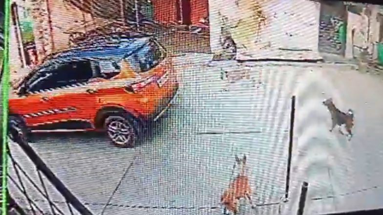 Jalgaon Shocker: बेजुबान के साथ क्रूरता की हदें पार! श्वान को कार के पीछे रस्सी से बांधकर घसीटा, सीसीटीवी में कैद हुई घटना, जलगांव में पशुप्रेमियों में रोष (Watch Video )