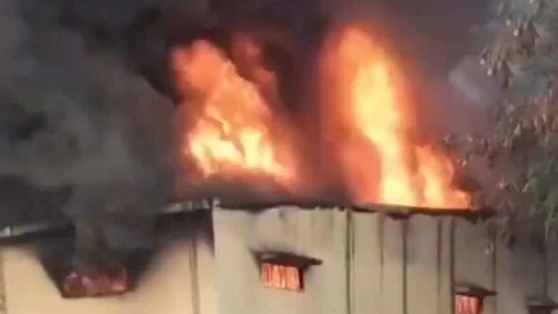 Fire in Biscuit Company: भिंड की बिस्कुट कंपनी में लगी भीषण आग, एक मजदुर की दम घुटने से मौत, 10 घंटे की मशक्कत के बाद फायर ब्रिगेड ने किया आग पर काबू (Watch Video)