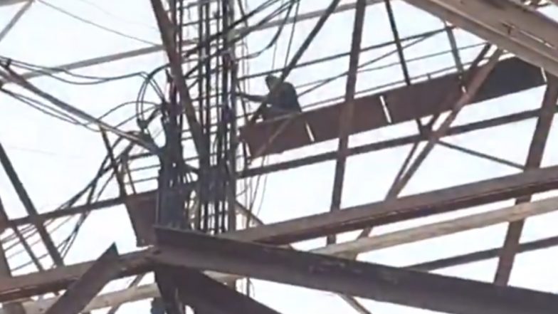 VIDEO: शराब के नशे में ट्रांसफर की मांग को लेकर मोबाइल टावर पर चढ़ गया BSNL का कर्मचारी, घंटों चला हाई वोल्टेज ड्रामा, झांसी का वीडियो आया सामने