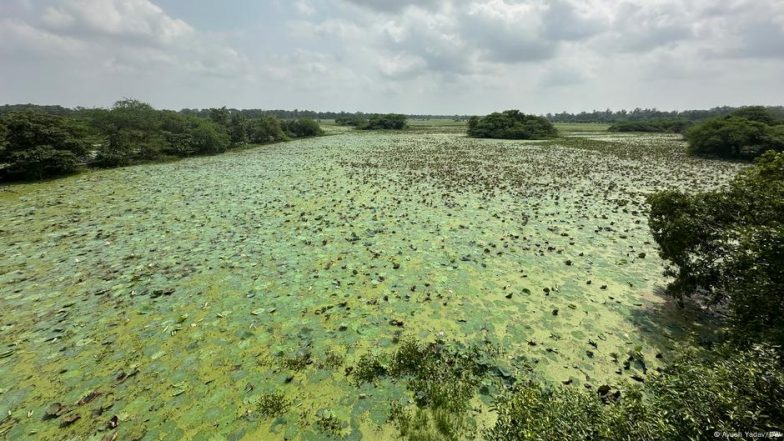 इंदौर और उदयपुर को मिला भारत की पहली 'वेटलैंड सिटी' का दर्जा