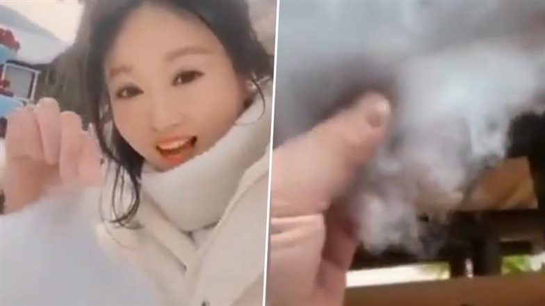 China Fake Snow Village: चीन के स्नो विलेज में बर्फ की जगह फैलाई रुई, नाराज पर्यटकों ने किया हंगामा; प्रबंधन में मांगी माफी (Watch Video)