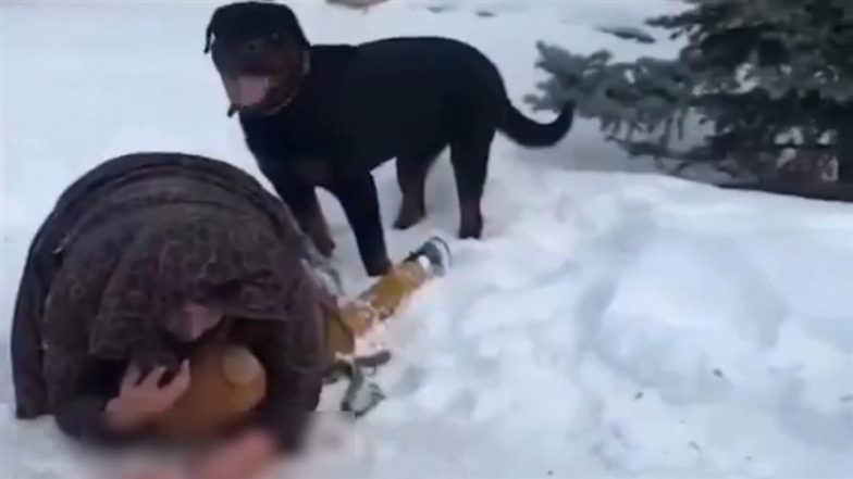Rottweiler Attack Video: मां ने अपने 5 वर्षीय बच्चे को कुत्ते के हमले से बचाने के लिए अपने शरीर को बनाया ढाल, देखें भयावह वीडियो