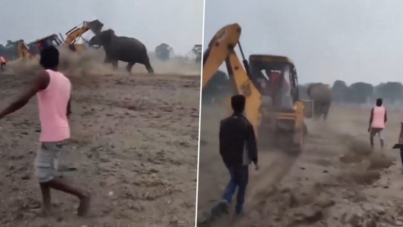 Viral Video: बाप रे! गुस्सैल हाथी ने मार दी जेसीबी को टक्कर, हिला डाली भारी भरकम मशीन, सोशल मीडिया पर वायरल हुआ वीडियो