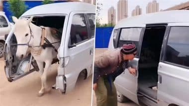 Desi Jugaad Viral Video: लग्जरी BMW कार को शख्स ने बनाया घोड़ा गाड़ी, देसी जुगाड़ के इस वीडियो को देख उड़े लोगों के होश