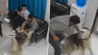 Viral Video: प्यार जताने के बाद पालतू कुत्ते ने कर दिया युवक पर हमला, जानवर के इस व्यवहार को देख लोग हुए हैरान