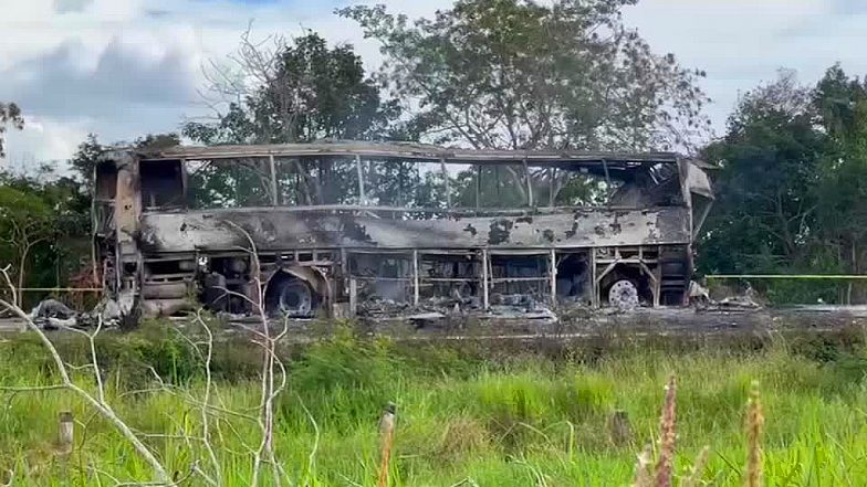 VIDEO: मेक्सिको में बड़ा सड़क हादसा, ट्रेलर और बस की भीषण टक्कर में 41 लोगों की मौत