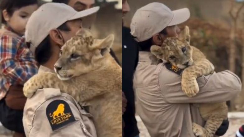Viral Video: केयरटेकर को देखते ही उससे लिपट गया नन्हा शेर, कुछ इस तरह से जताने लगा प्यार