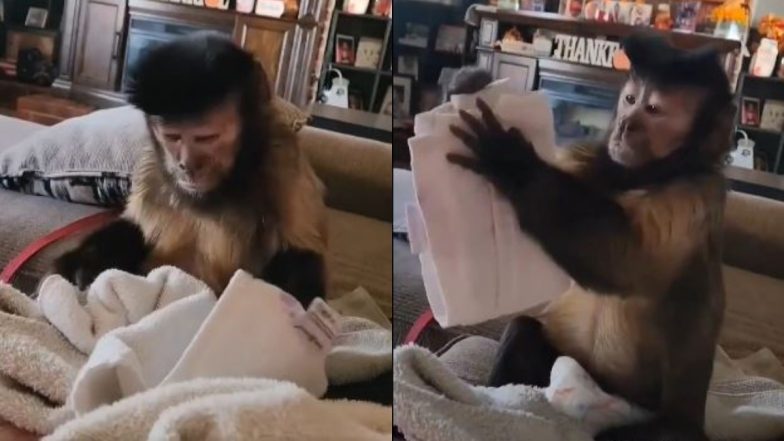 Viral Video: तौलिए को तह लगाकर घर के कामों में मदद करता दिखा बंदर, एक्सप्रेशन देखकर चेहरे पर आ जाएगी मुस्कान