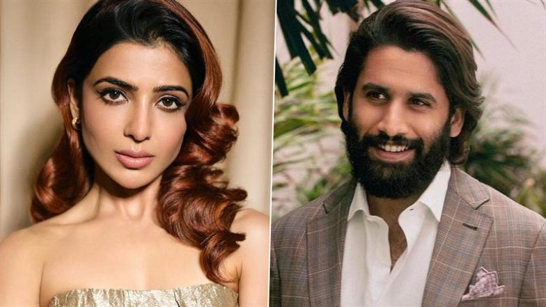 Naga Chaitanya Breaks Silence on Divorce:  नागा चैतन्य का तलाक पर बड़ा बयान, बोले - 'हमारे भले के लिए लिया फैसला, मुझे दोषी क्यों ठहराया जा रहा है?'