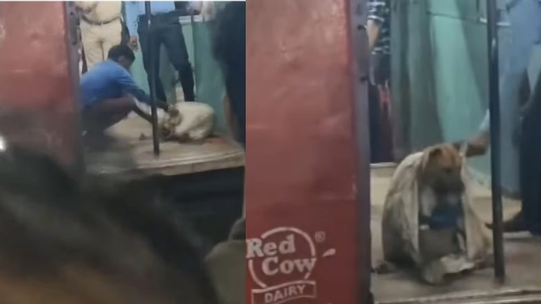 VIDEO: पशु क्रूरता की हदें पार! बोरी में ठूंसकर ट्रेन में फेंक दिया कुत्ता, यात्री की सतर्कता से बची जान