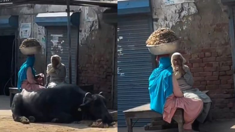 Viral Video: गपशप करने में ऐसे मगन हुई महिला कि सिर पर रखे बोझे को उतरना ही भूल गई, वीडियो देख लोगों ने लिए जमकर मजे