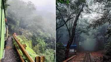 Maharashtra: महाराष्ट्र का मशहूर हिल स्टेशन माथेरान आज से अनिश्चितकाल के लिए बंद, पर्यटकों से ठगी पर स्थानीय लोग नाराज; सरकार से कार्रवाई की मांग Maharashtra: महाराष्ट्र का मशहूर हिल स्टेशन माथेरान आज से अनिश्चितकाल के लिए बंद, पर्यटकों से ठगी पर स्थानीय लोग नाराज; सरकार से कार्रवाई की मांग