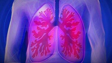 TB Patients in Maharashtra: महाराष्ट्र में टीबी का प्रकोप! 100 दिनों में मिले 40 हजार मरीज, परेशान करनेवाले आकड़े आएं सामने TB Patients in Maharashtra: महाराष्ट्र में टीबी का प्रकोप! 100 दिनों में मिले 40 हजार मरीज, परेशान करनेवाले आकड़े आएं सामने