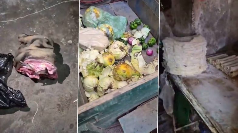 Cat or Dog Meat in Momo: मोहाली में मोमो और स्प्रिंग रोल में बिल्ली का मांस और सड़ी सब्जियां डालने का दावा, टॉमकैट के कटे सिर का वीडियो वायरल