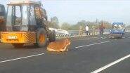 Road Accident in Raebareli: रायबरेली जिले में डबल डेकर बस ने कई गौवंशों को कुचला, छह गायों की हुई मौत, ड्राइवर समेत यात्री भी हुए घायल (Watch Video)