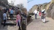 Bees attack in Shivneri: पुणे के जुन्नर में शिवनेरी किले में पर्यटकों पर मधुमक्खियों ने किया जानलेवा हमला, 50 के करीब लोग घायल (Watch Video)