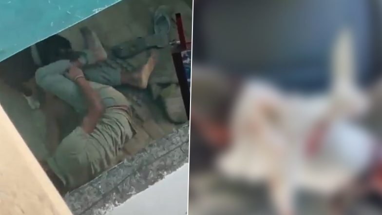 Dog Attack: पिटबुल डॉग ने शेल्टर होम के कर्मचारी पर किया जानलेवा हमला, कई देर तक नोचता रहा, नोएडा का भयावह वीडियो आया सामने (Watch Video)