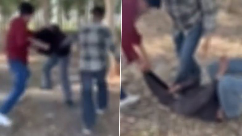 VIDEO: उत्तर प्रदेश में बेखौफ बदमाश! वर्चस्व की लड़ाई में एक ने दूसरी गैंग के युवक को पकड़ा, जंगल में ले जाकर जमकर पीटा, मेरठ की मारपीट का वीडियो आया सामने