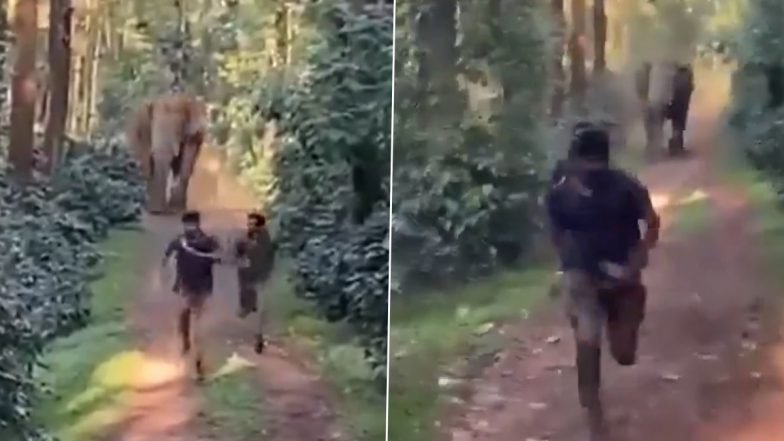 Elephant Attack in Karnataka:जंगली हाथियों ने किया वन कर्मचारियों पर हमला, कई दूर तक वर्कर्स को भगाया, कर्नाटक के हासन का वीडियो आया सामने(Watch Video)