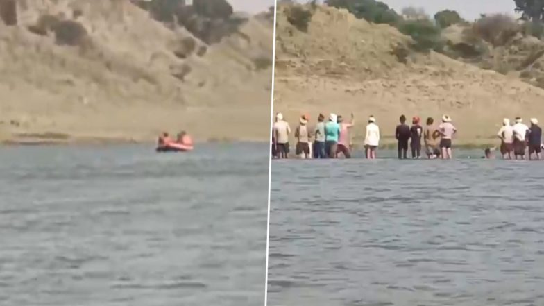 VIDEO: चंबल नदी में नहाते हुए युवक को सभी के सामने खींच ले गया मगरमच्छ, मुरैना जिले के विंडवा गांव की घटना, रेस्क्यू ऑपरेशन जारी