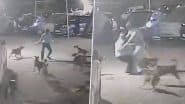 Dog Attack on Security Guard: कुत्तों ने किया चौकीदार पर हमला, खुद को बचाने के लिए सिक्योरिटी गार्ड ने निकाला डंडा, तो डॉग लवर ने कर दी जमकर पिटाई, अंधेरी की घटना (Watch Video)