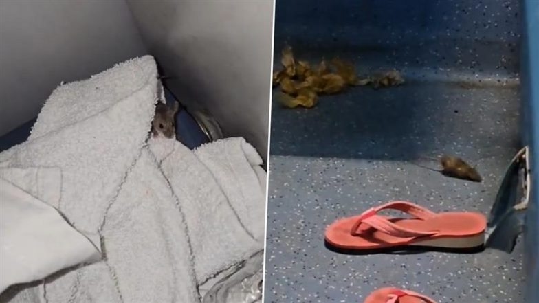 Rat Menace in Train: यात्री ने साउथ बिहार एक्सप्रेस के एसी कोच में सीट और सामान पर रेंगते चूहों का वीडियो किया शेयर, रेलवे ने दिया जवाब