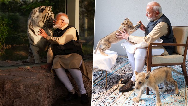 PM Modi at Vantara: शेर के बच्चों को दुलारते दिखे PM मोदी, बोतल से पिलाया दूध; जामनगर के 'वनतारा' से सामने आया मनमोहक VIDEO