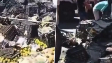 VIDEO: संतरों से भरा ट्रक पलटा, लुटने के लिए मची लोगों की होड़, सुरक्षा के लिए पुलिस हुई तैनात, झांसी जिले की घटना